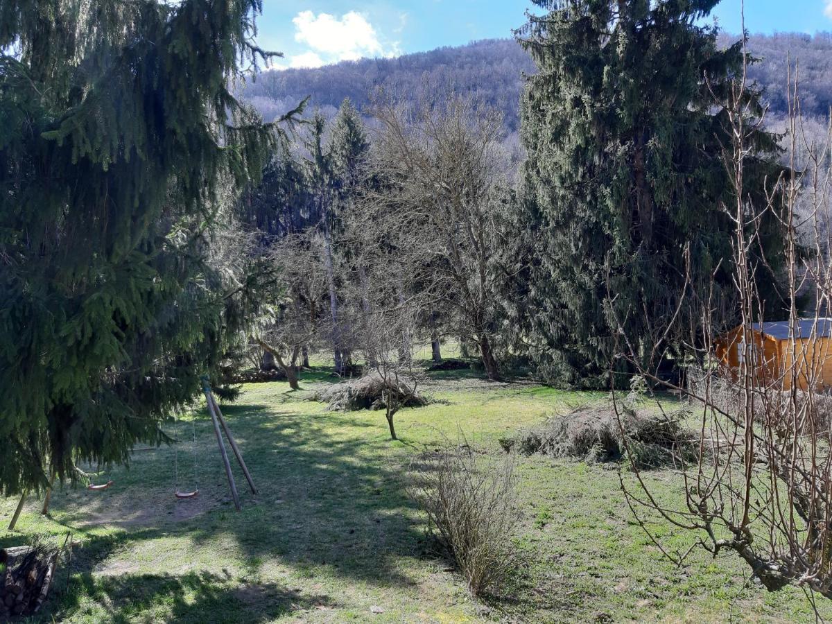 Chalet Tout Confort Proche D Ax 3 Domaines Vebre Exterior foto